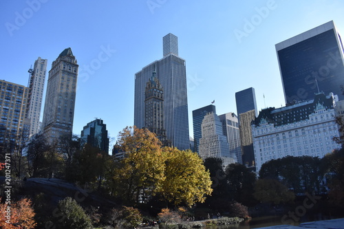 NYC Autumn - Buildings 