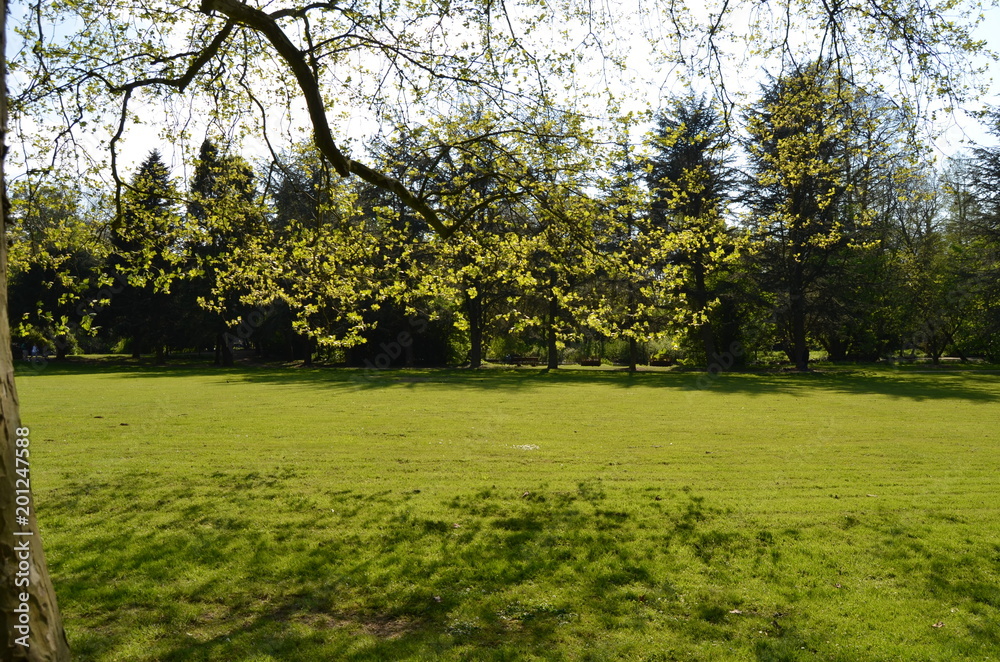 Fototapeta premium Castillo idílico