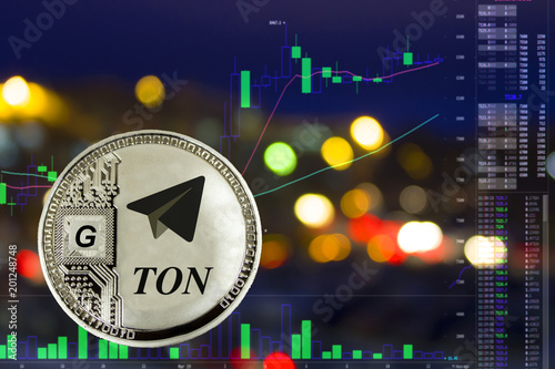 the TON coin