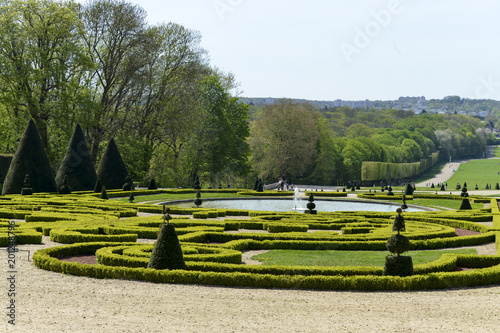 If commun,Taxus baccata, Buis, buxus sempervirens, Parc de Sceaux, Domaine départemental de Sceaux, 92, Hauts de seine