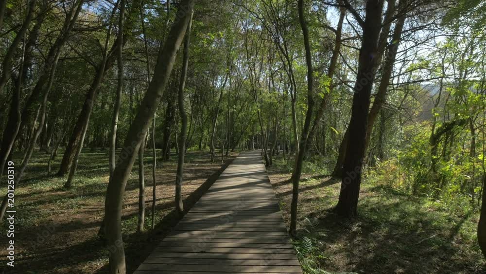 Wooden alley at Krka National Park 