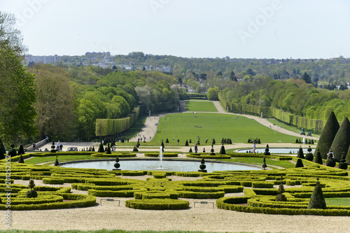 If commun,Taxus baccata, Buis, buxus sempervirens, Parc de Sceaux, Domaine départemental de Sceaux, 92, Hauts de seine