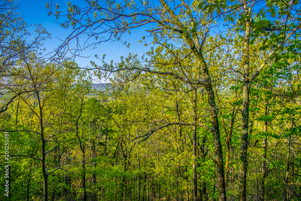 Pinnacle Mountain in Little Rock, Arkansas Pinnacle Mountain in Little Rock, Arkansas