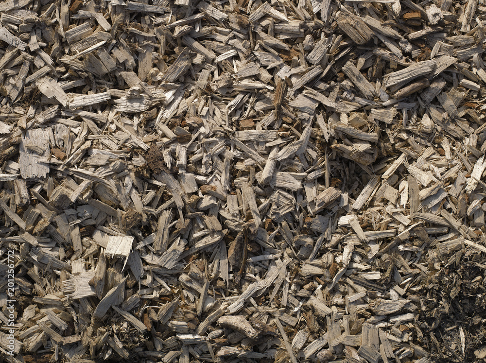 Sharp splinters of wood Sharp splinters of wood