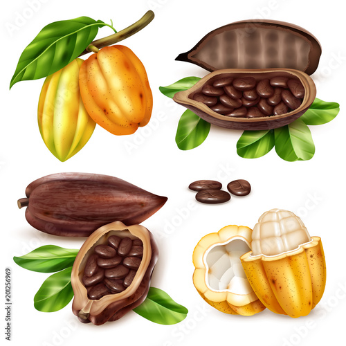 Realistic Cocoa Icon Set