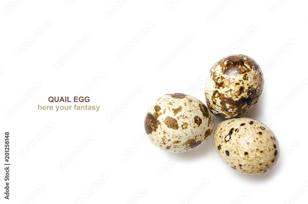 Quail eggs on white background, with space for text. Quail eggs on white background, with space for text.