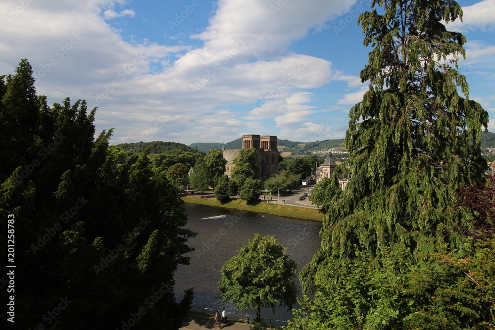 Fototapeta premium a cathedral between the trees