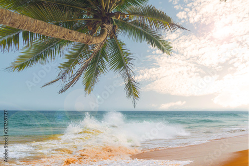 Ocean waves against blue sky and palm trees.