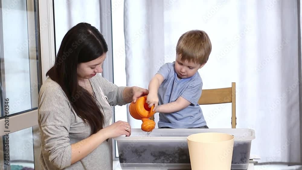 Mother and toddler son plant seedlings at home together. Mother and toddler son plant seedlings at home together.
