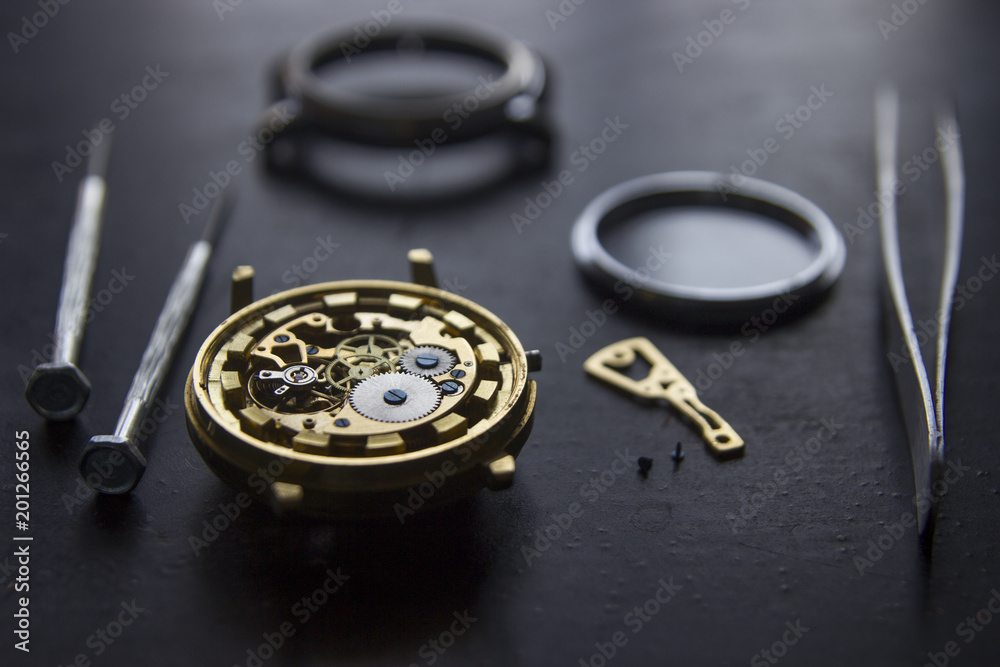 Mechanical watch repair