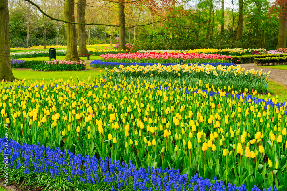 Formal spring garden