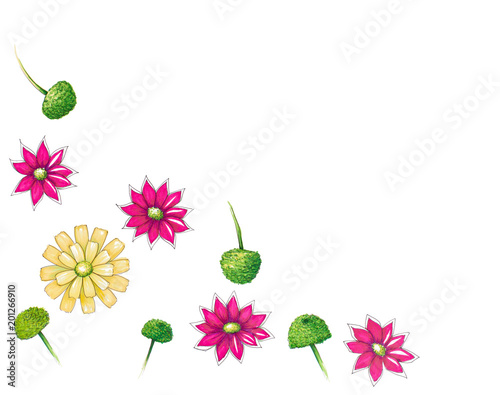 Cute hand drawn flower pattern on white background