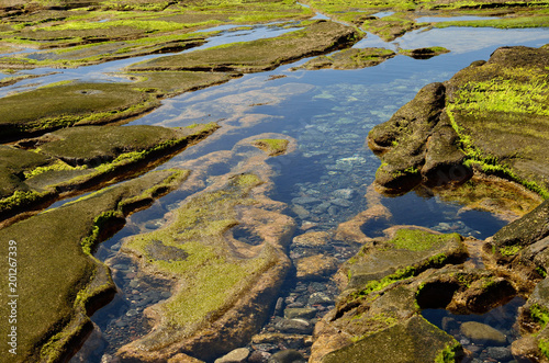 Rocky coast with puddles at low tide, The confital, Gran canaria