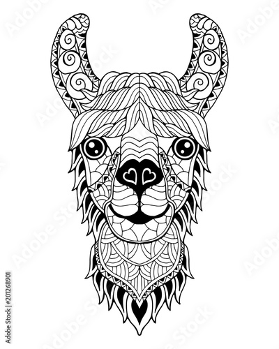 Llama Alpaca mandala zentangle stylized. Freehand vector illustration.