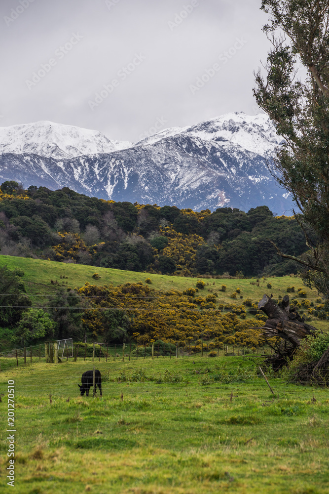 Mountains in New Zealand