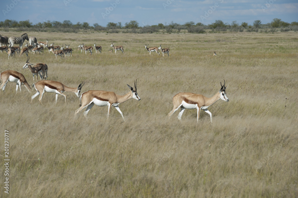 Namibia Namibia