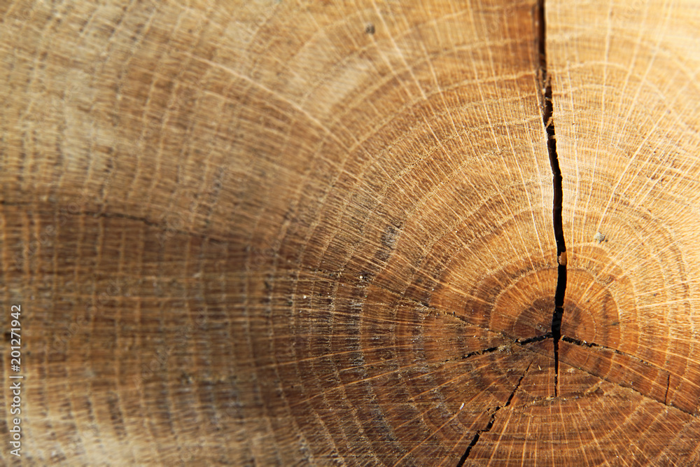 Fototapeta premium Holzstruktur mit Riss