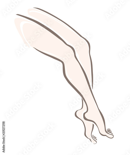 Beautiful female feet. Front and rear view. Sketch vector illustration embodiment of beauty, health, grace, attraction.