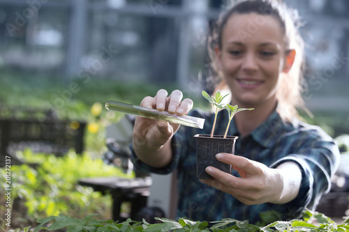 Farmer woman pouring chemicals in seedling