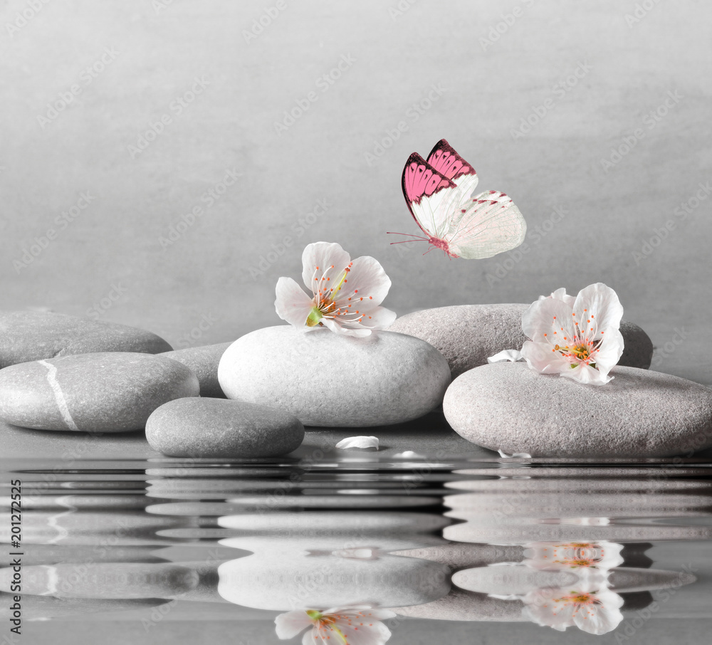 Naklejka premium kwiat i kamień zen spa na powierzchni wody i szarym tle
