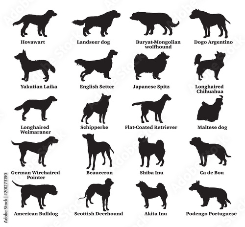 Set of dogs silhouettes-7