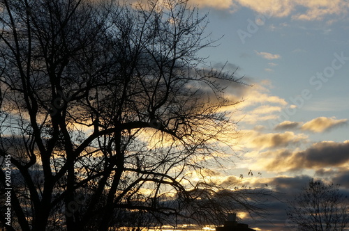 Sunset clouds