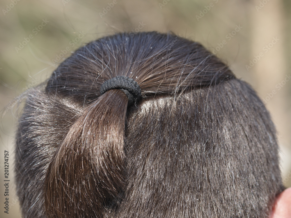 male haircut pigtail, close-up on a nature background.