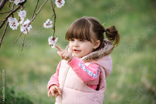 Pretty little girl in blossom apricot garden in beautiful spring day