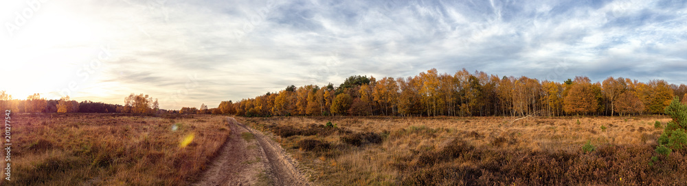 Panorama Heidelandschaft