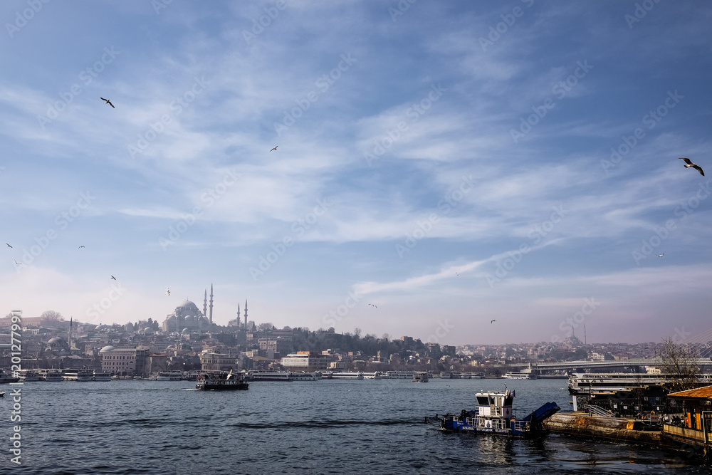 The view of Istanbul and the Bosphorus river