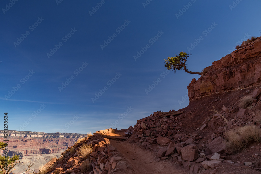 Naklejka premium South Kaibab Trail in Grand Canyon National Park, Arizona, USA