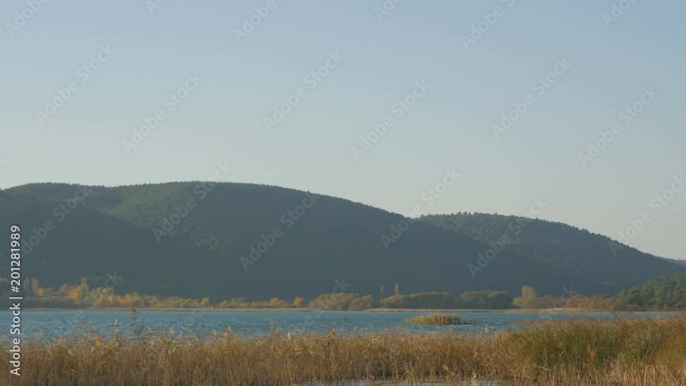 Reed by the river and hills Reed by the river and hills