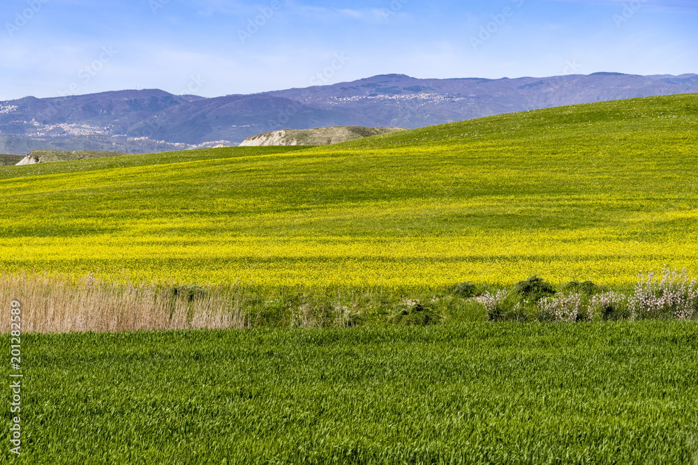 hill landscape at spring with sky and meadow hill landscape at spring with sky and meadow