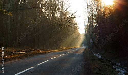 Turn on the road. The sun rays through the branches of trees on the roadside.