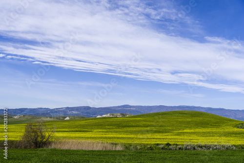 hill landscape at spring with sky and meadow