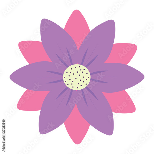 beautiful flower icon over white background, colorful design. vector illustration