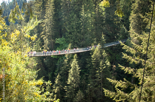 Capilano Tourist Bridge photo