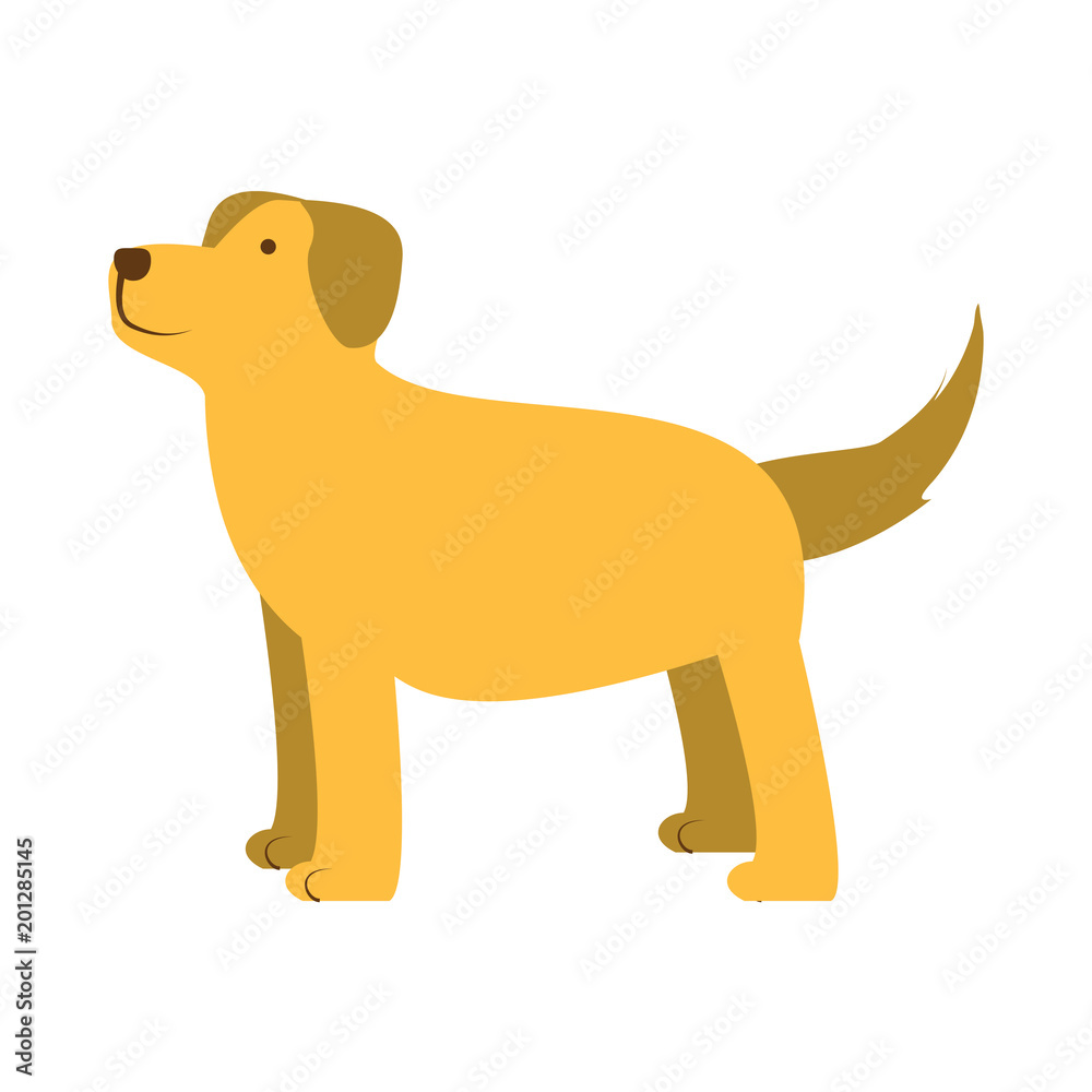 cartoon dog icon over white background, colorful design. vector illustration cartoon dog icon over white background, colorful design. vector illustration