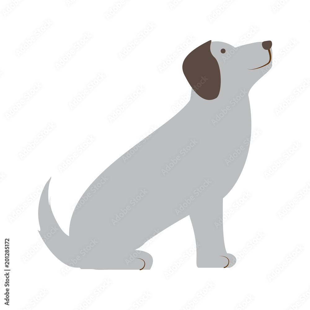 cute dog icon over white background, colorful design. vector illustration
