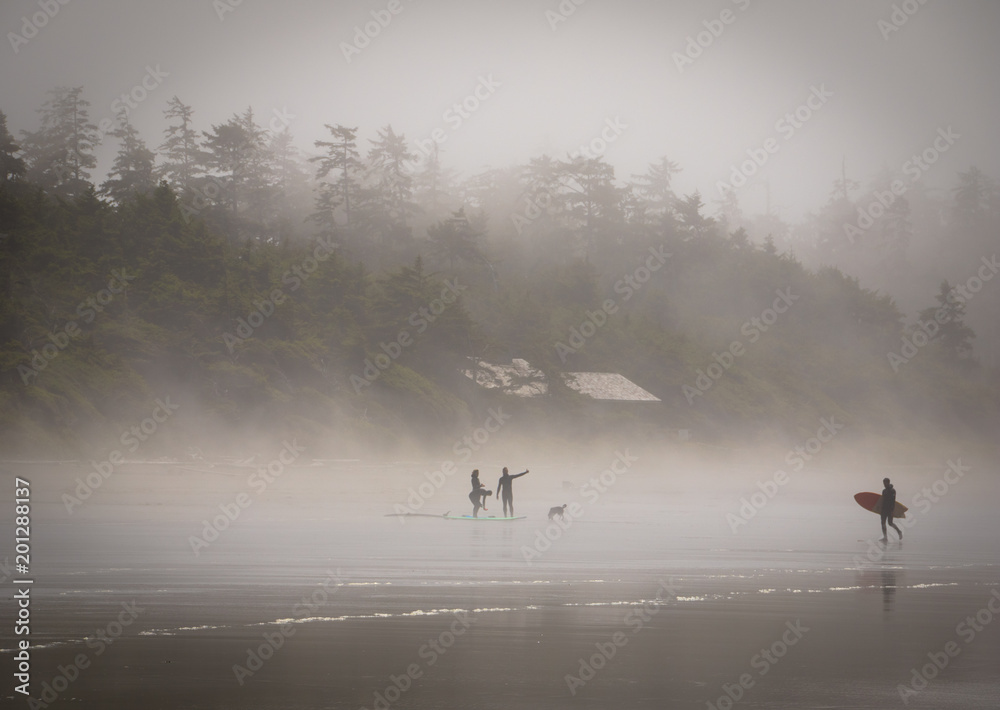 Foggy Beach with Surfers