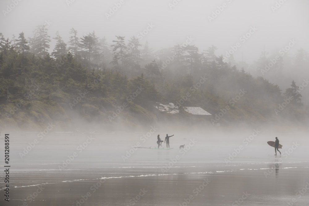 Naklejka premium Tofino Surfers in Fog