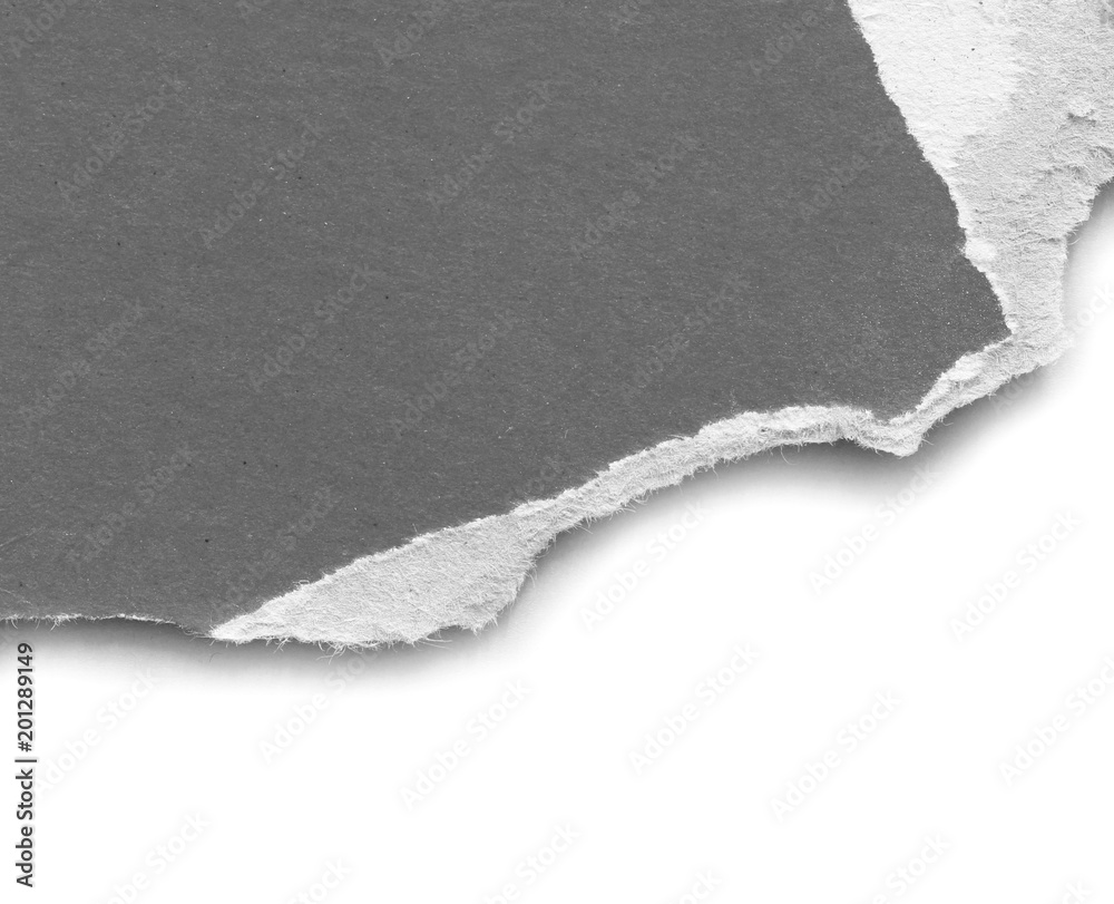 pieces of torn paper texture background, copy space. pieces of torn paper texture background, copy space.