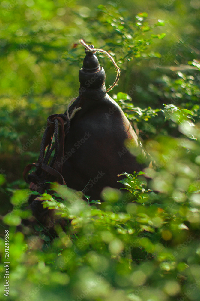 Fototapeta premium vintage leather canteen laying on a mossy ground in forest