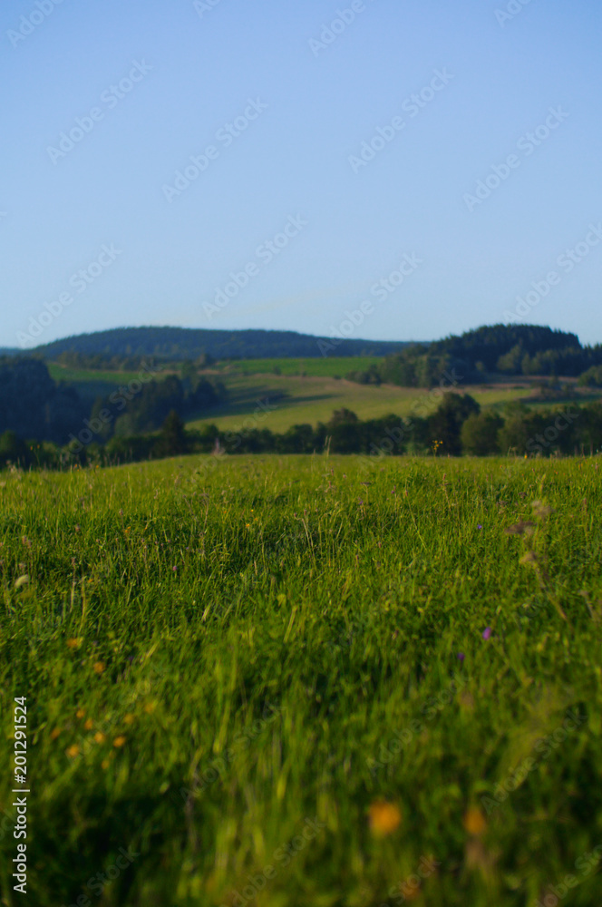 peaceful highlands landscape of czech republic, europe