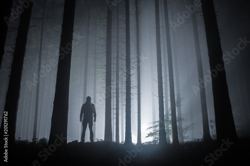 fog in a forest at night with mysterious silhouette and light in the distance