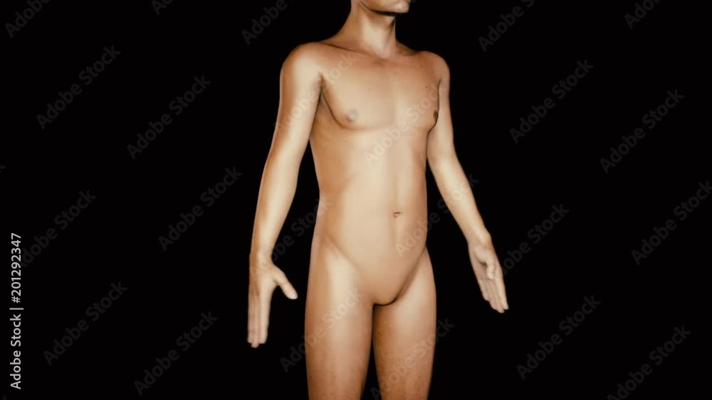 Lose Belly Fat Fast Lose Belly Fat Fast