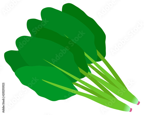 ほうれん草