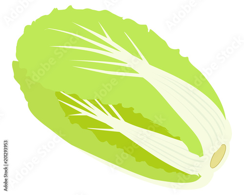 白菜