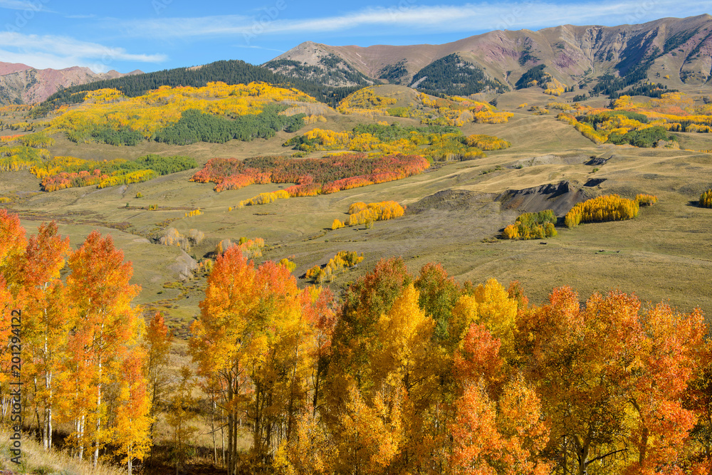 Autumn Hill - Colorful Autumn aspen groves at side of rocky mountain range, near Crested Butte, Colorado, USA.