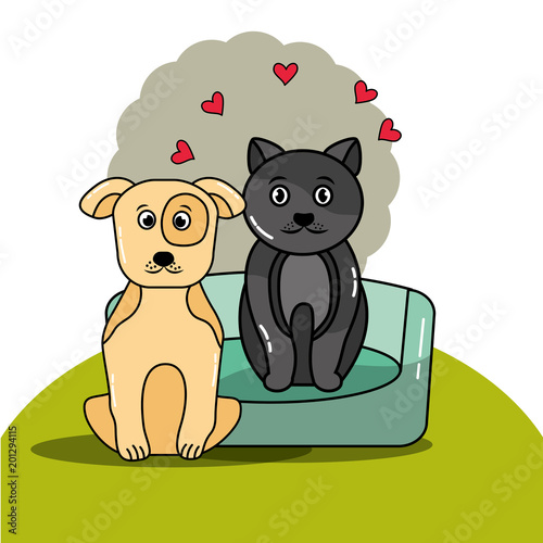 pet cat and dog with bed cushion vector illustration